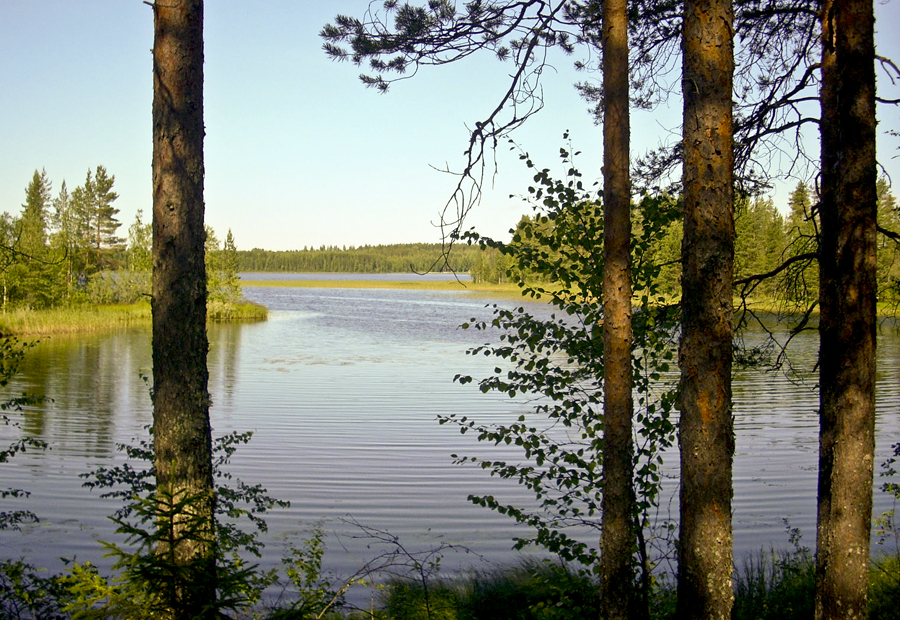 finn tóvidék